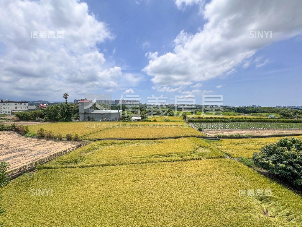高鐵區前庭後院大透天房屋室內格局與周邊環境