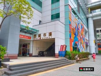 近西湖站麗山學區雙併美寓