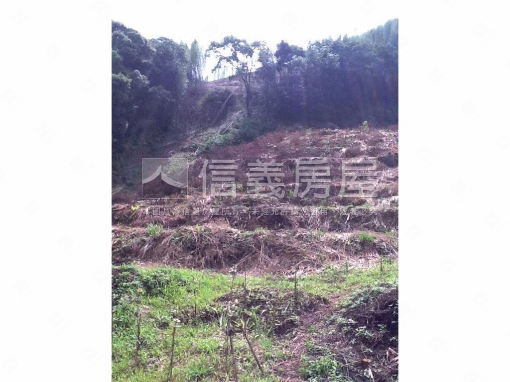 二甲多臨詩朗道路土地房屋室內格局與周邊環境