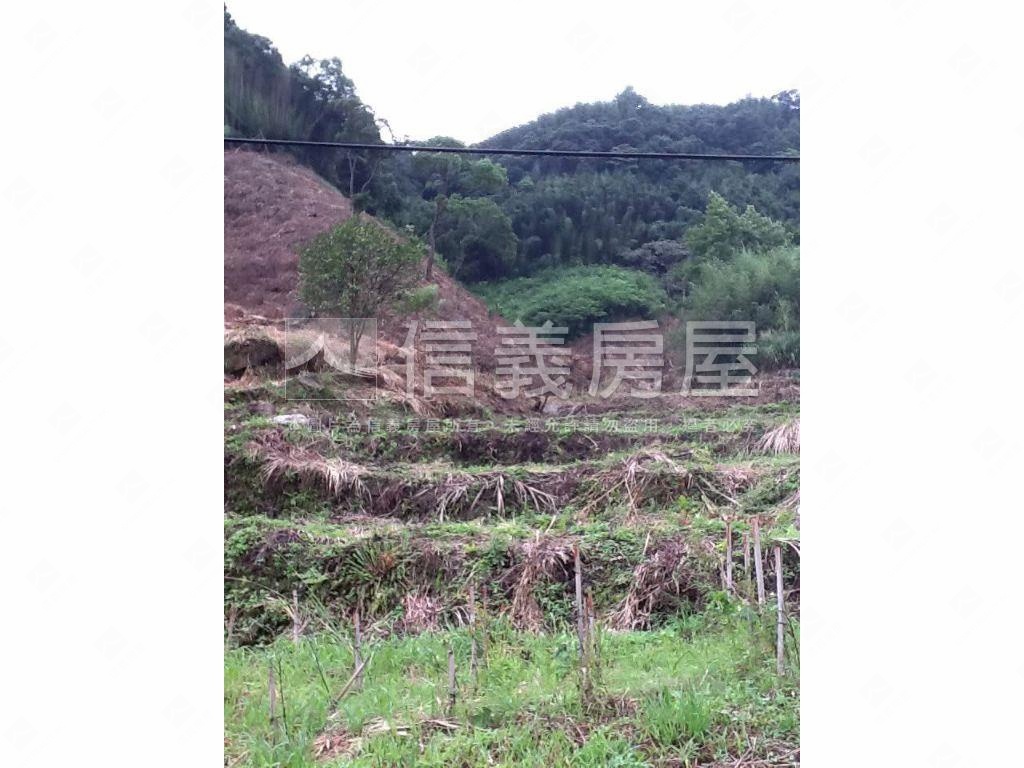 二甲多臨詩朗道路土地房屋室內格局與周邊環境