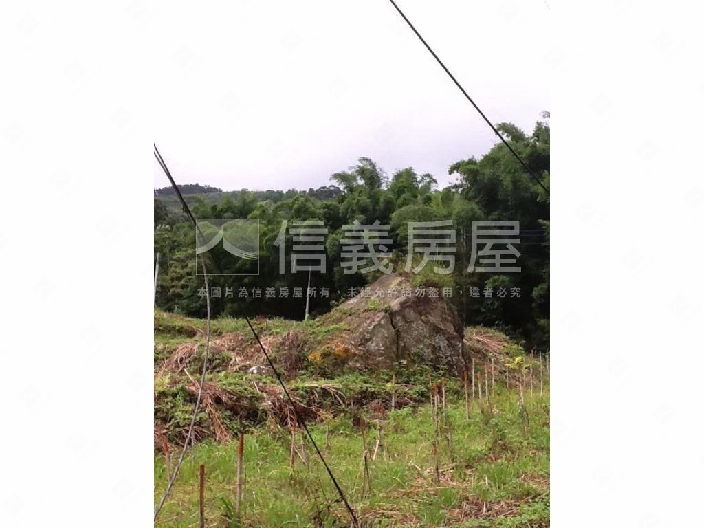 二甲多臨詩朗道路土地房屋室內格局與周邊環境