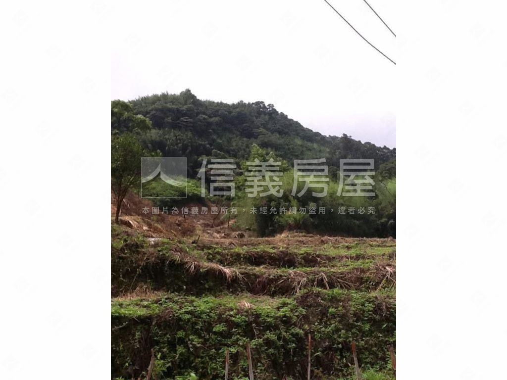 二甲多臨詩朗道路土地房屋室內格局與周邊環境