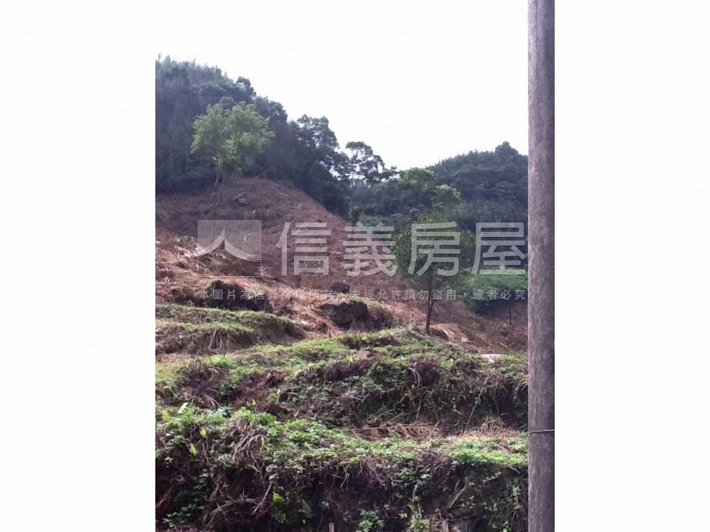 二甲多臨詩朗道路土地房屋室內格局與周邊環境