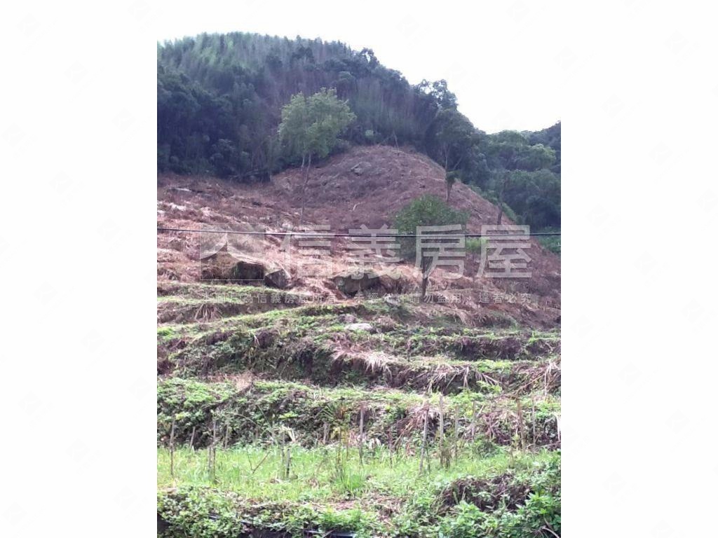 二甲多臨詩朗道路土地房屋室內格局與周邊環境