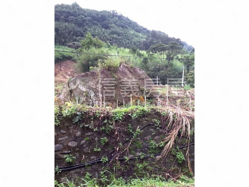 二甲多臨詩朗道路土地房屋室內格局與周邊環境