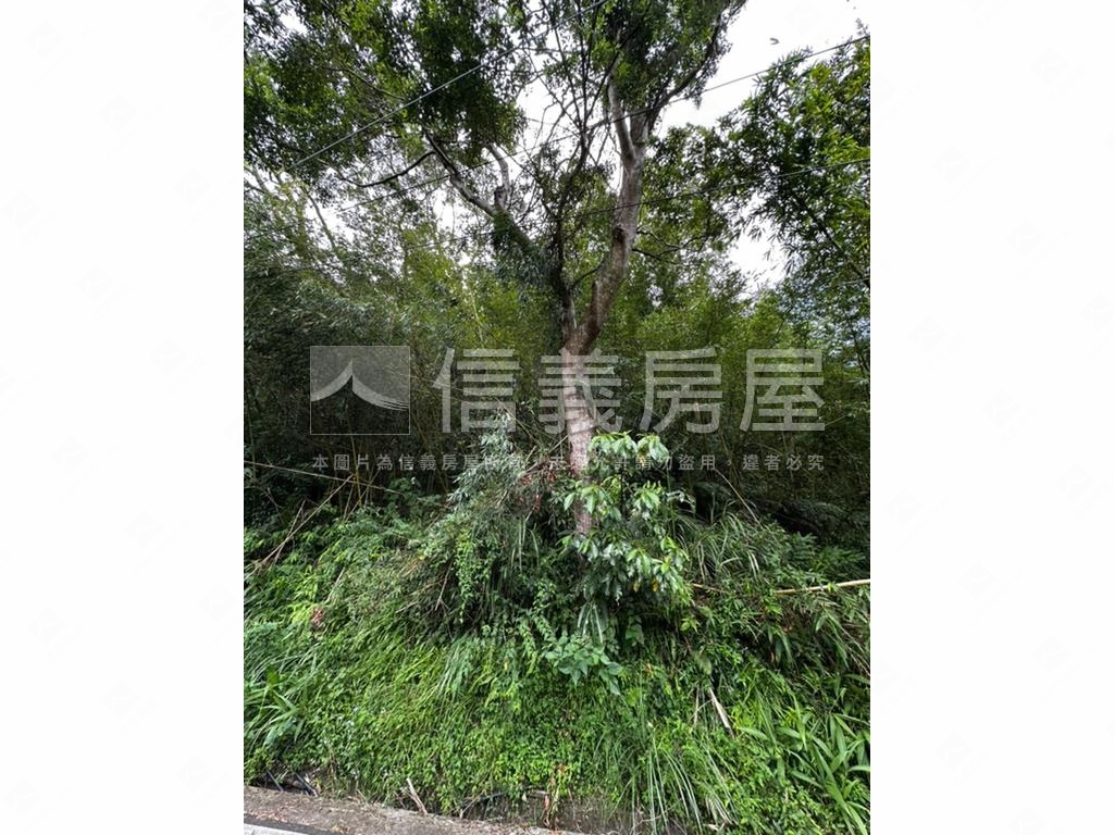 二甲多臨詩朗道路土地房屋室內格局與周邊環境