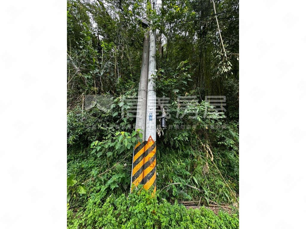 二甲多臨詩朗道路土地房屋室內格局與周邊環境