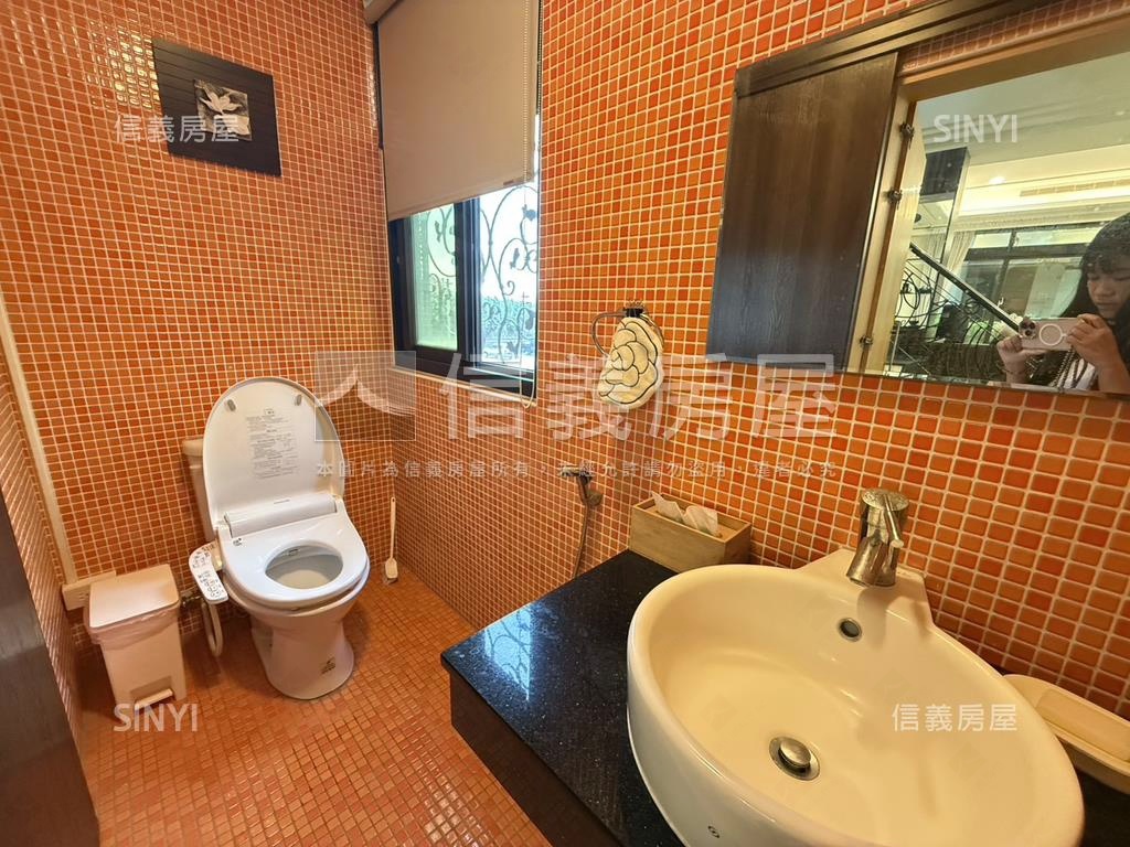 南興榮耀帝景百坪豪墅房屋室內格局與周邊環境