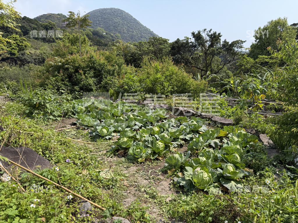 陽明山土地房屋室內格局與周邊環境