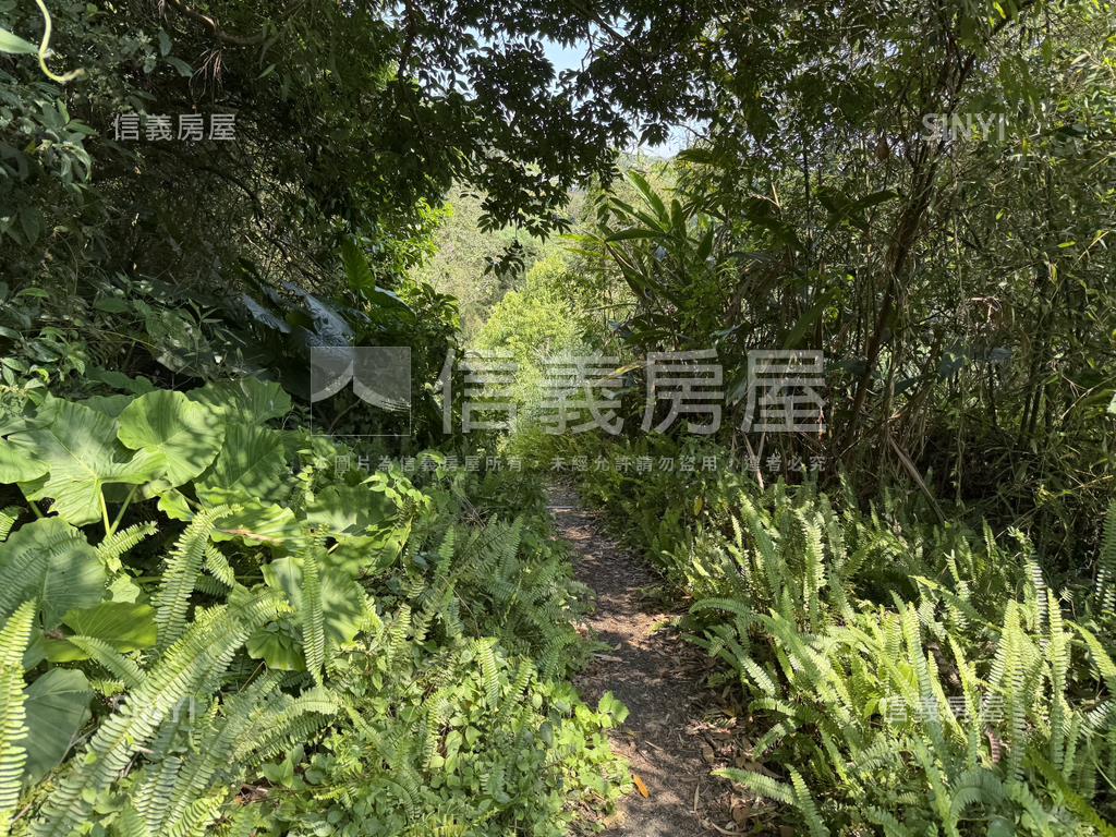 陽明山土地房屋室內格局與周邊環境