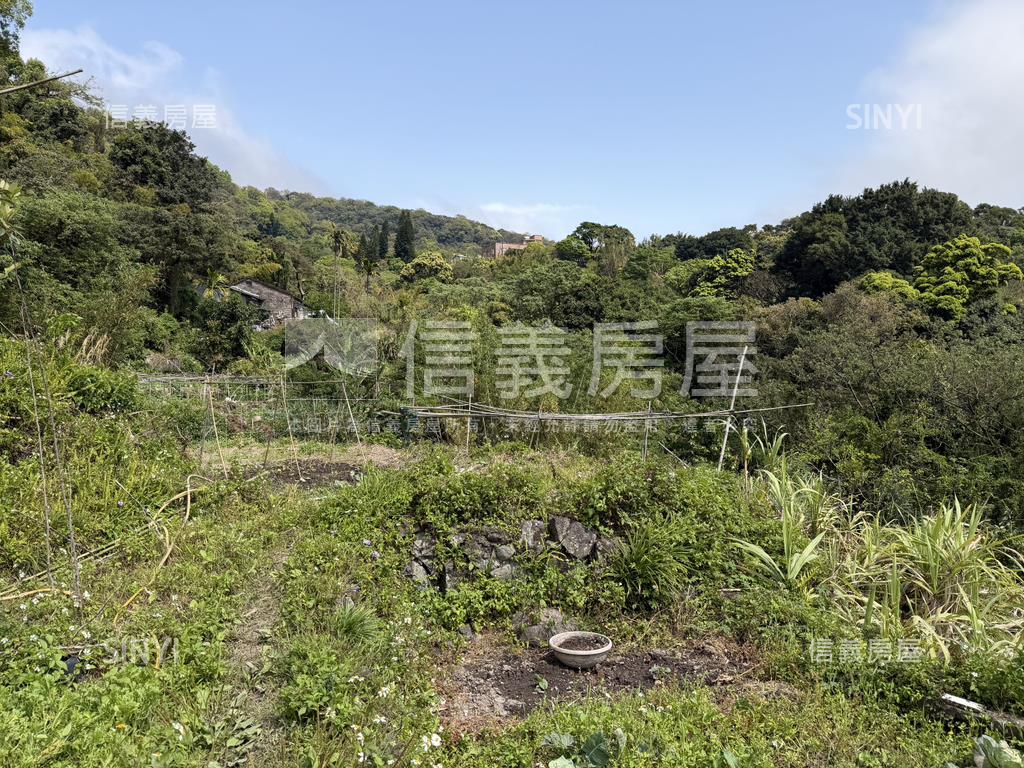 陽明山土地房屋室內格局與周邊環境