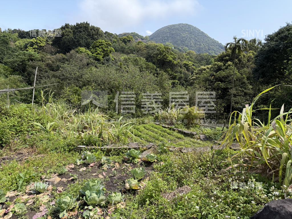 陽明山土地房屋室內格局與周邊環境
