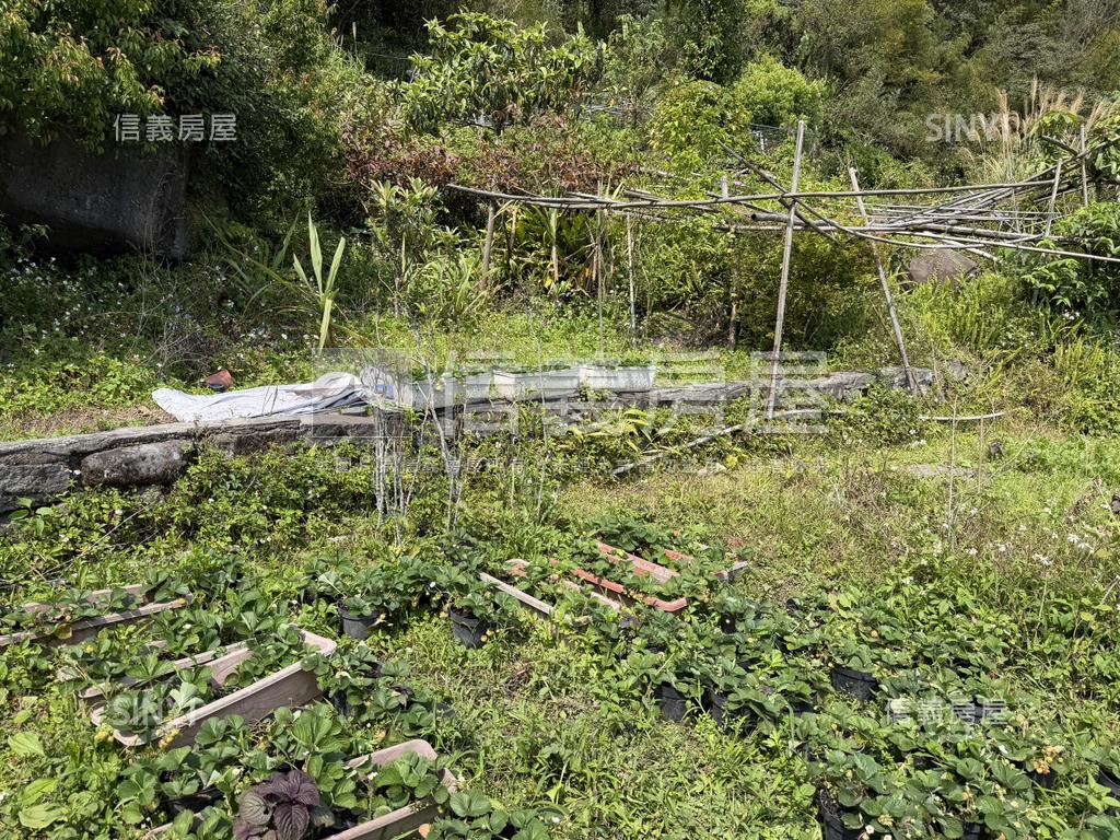 陽明山土地房屋室內格局與周邊環境