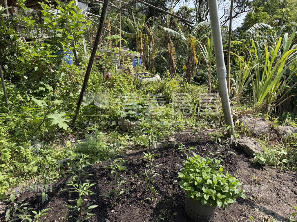 陽明山土地房屋室內格局與周邊環境