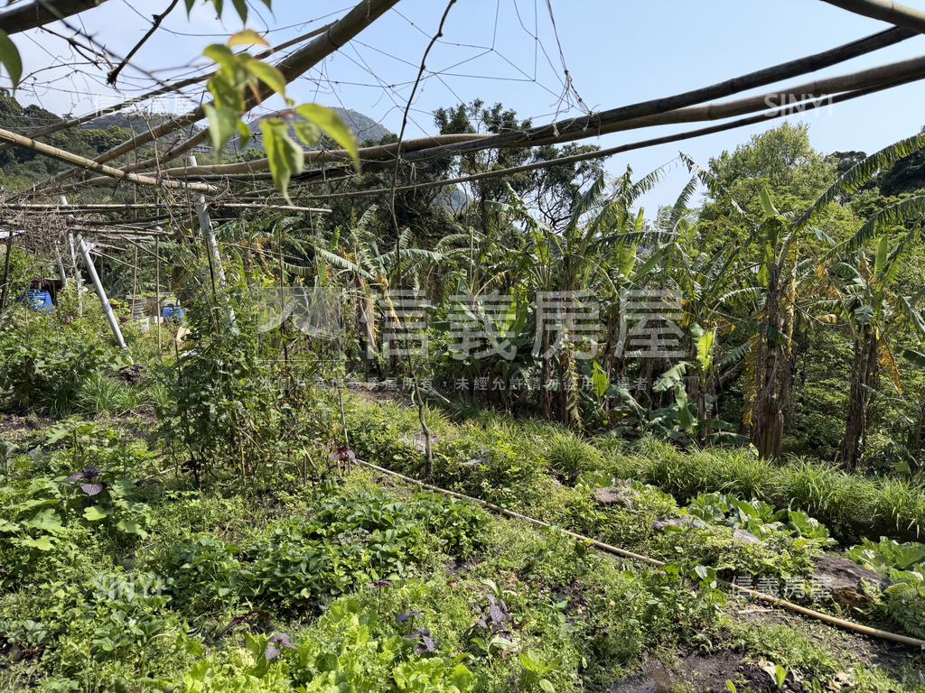 陽明山土地房屋室內格局與周邊環境