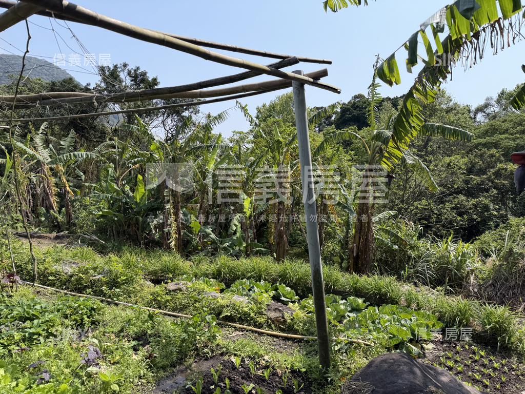 陽明山土地房屋室內格局與周邊環境