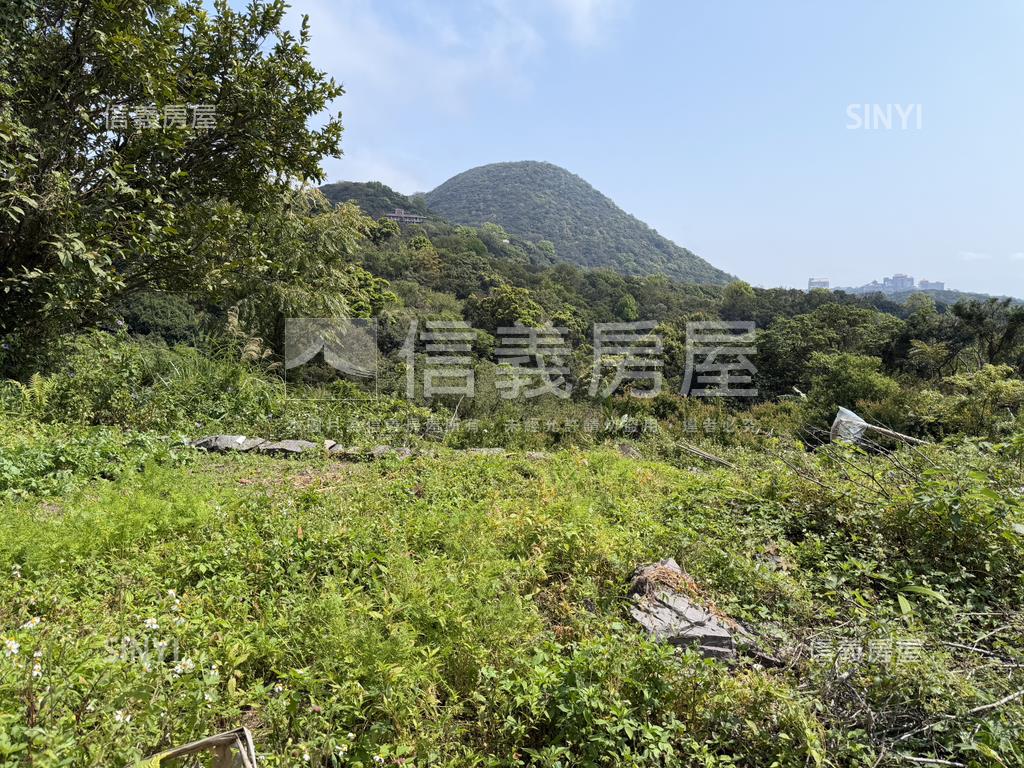 陽明山土地房屋室內格局與周邊環境