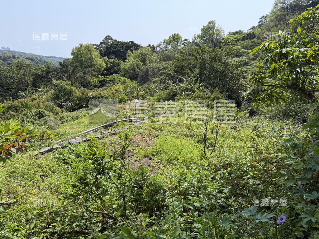 陽明山土地房屋室內格局與周邊環境