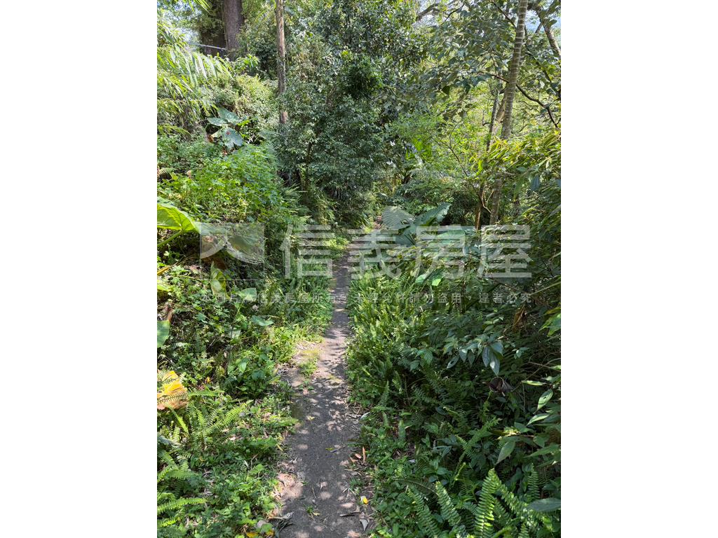 陽明山土地房屋室內格局與周邊環境