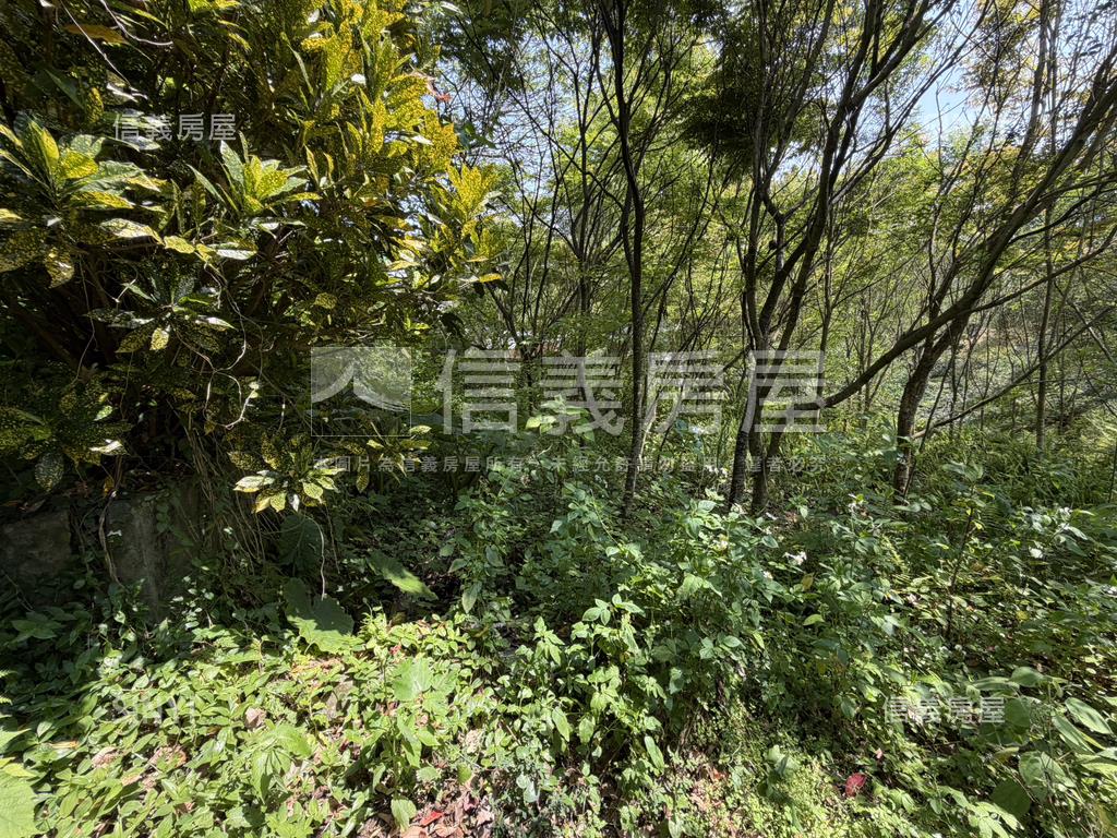 陽明山土地房屋室內格局與周邊環境