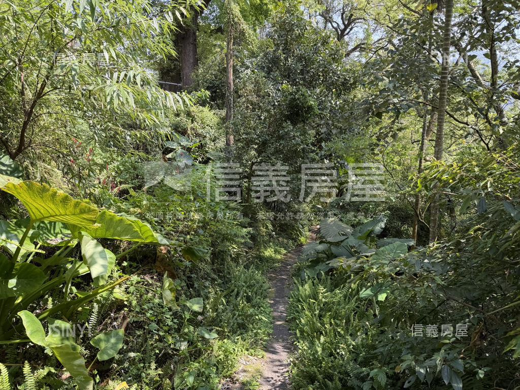 陽明山土地房屋室內格局與周邊環境