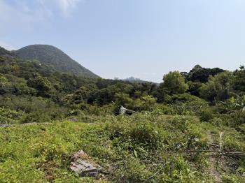 陽明山土地