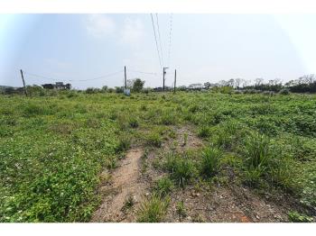 桃園觀音湖畔３４２４甲建