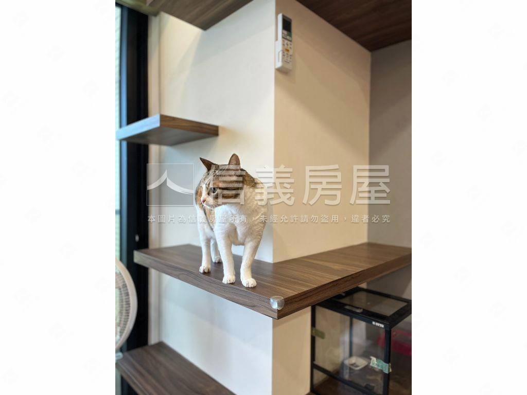 玄泰寶格麗高樓層景觀美屋房屋室內格局與周邊環境
