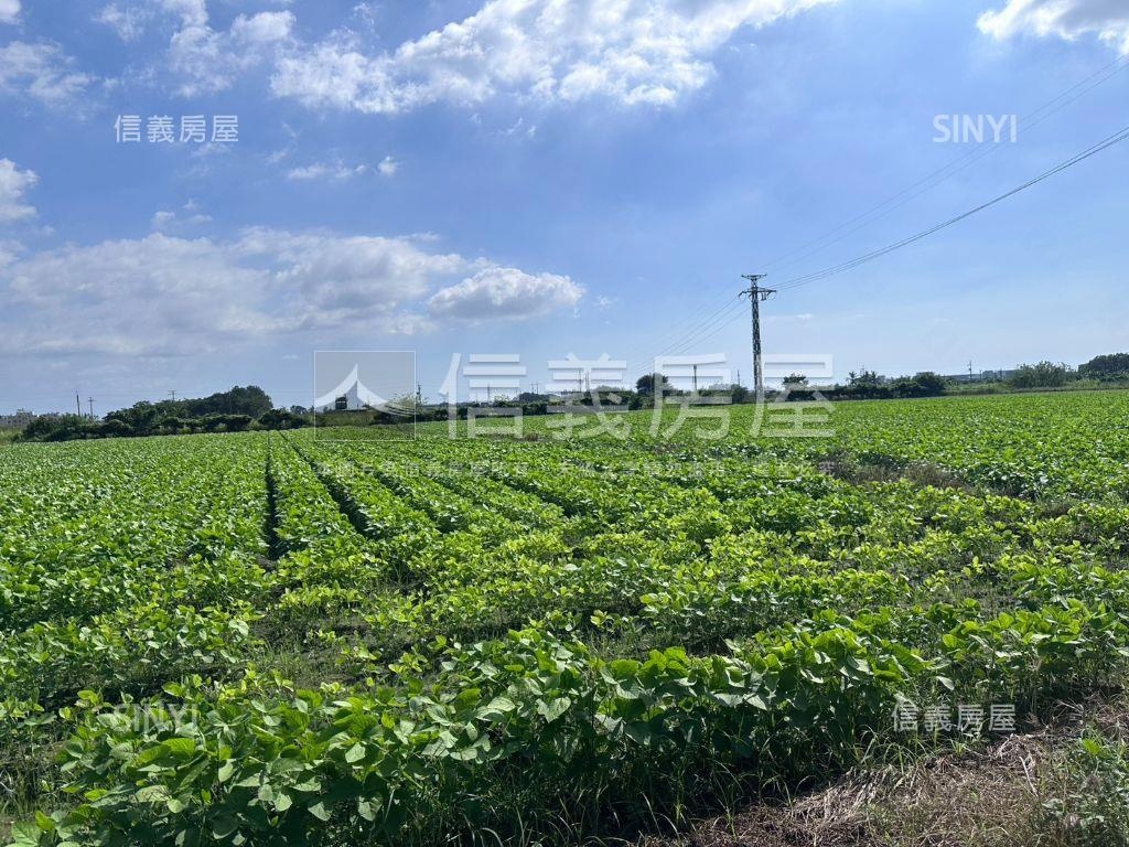【台中】地形方正農地Ｂ房屋室內格局與周邊環境