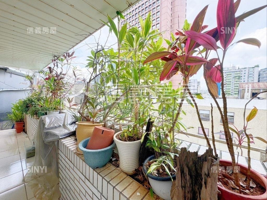 國泰雙仁愛學區頂加大空間房屋室內格局與周邊環境