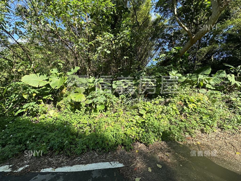 專任石頭坑農地丙建地房屋室內格局與周邊環境