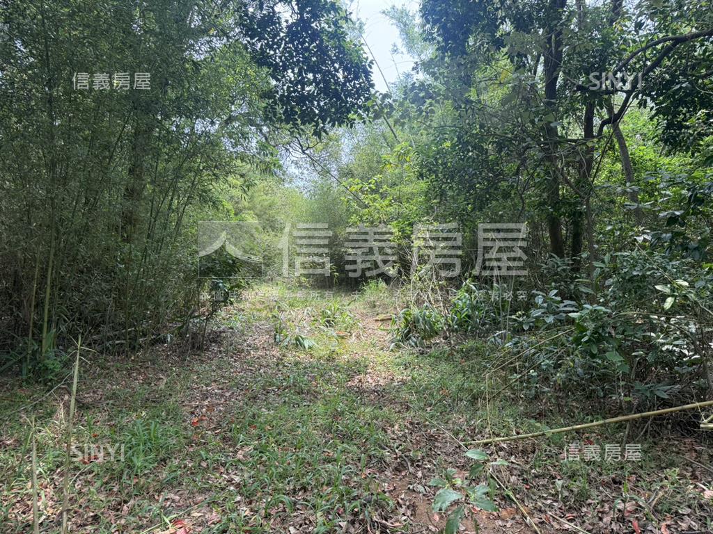 新竹新豐鄉方正便宜土地房屋室內格局與周邊環境