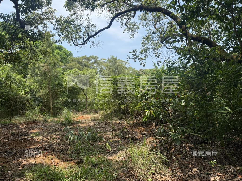 新竹新豐鄉方正便宜土地房屋室內格局與周邊環境