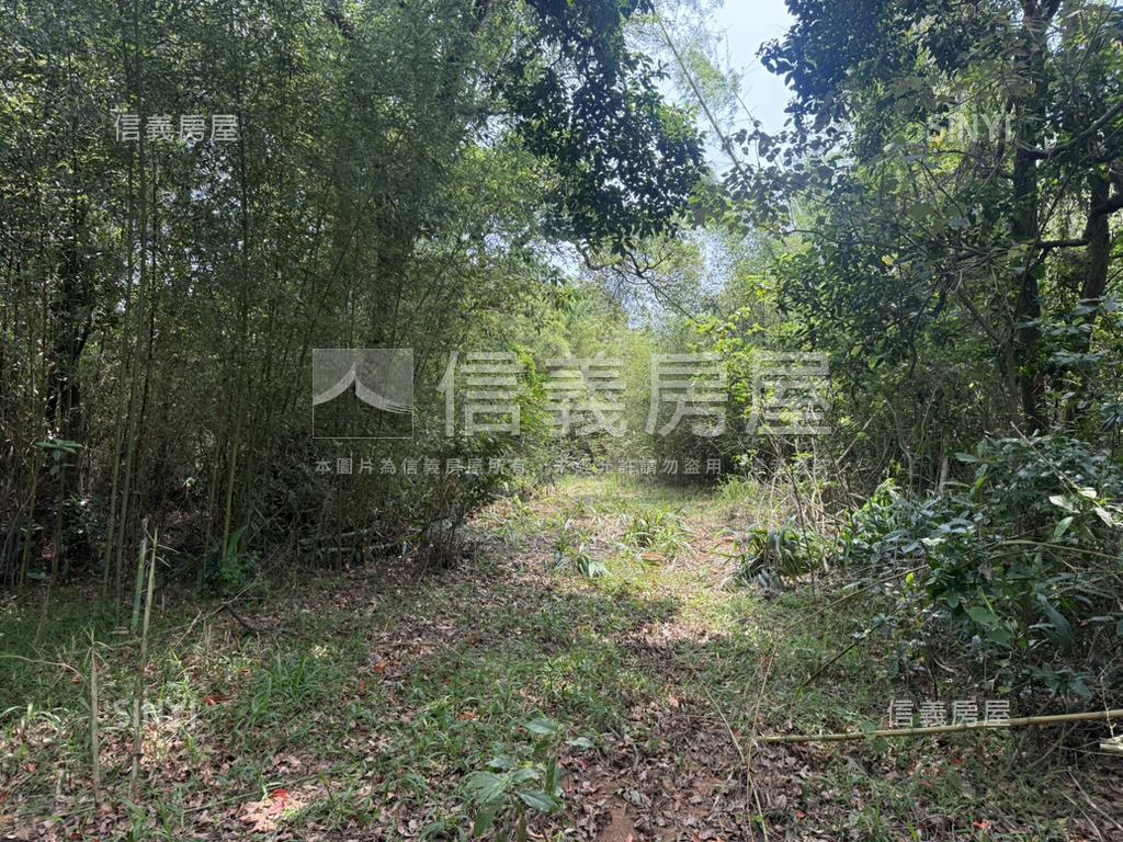 新竹新豐鄉方正便宜土地房屋室內格局與周邊環境