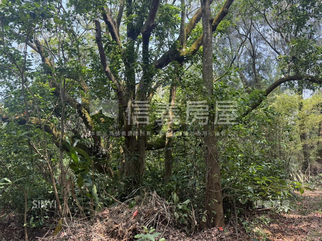 新竹新豐鄉方正便宜土地房屋室內格局與周邊環境