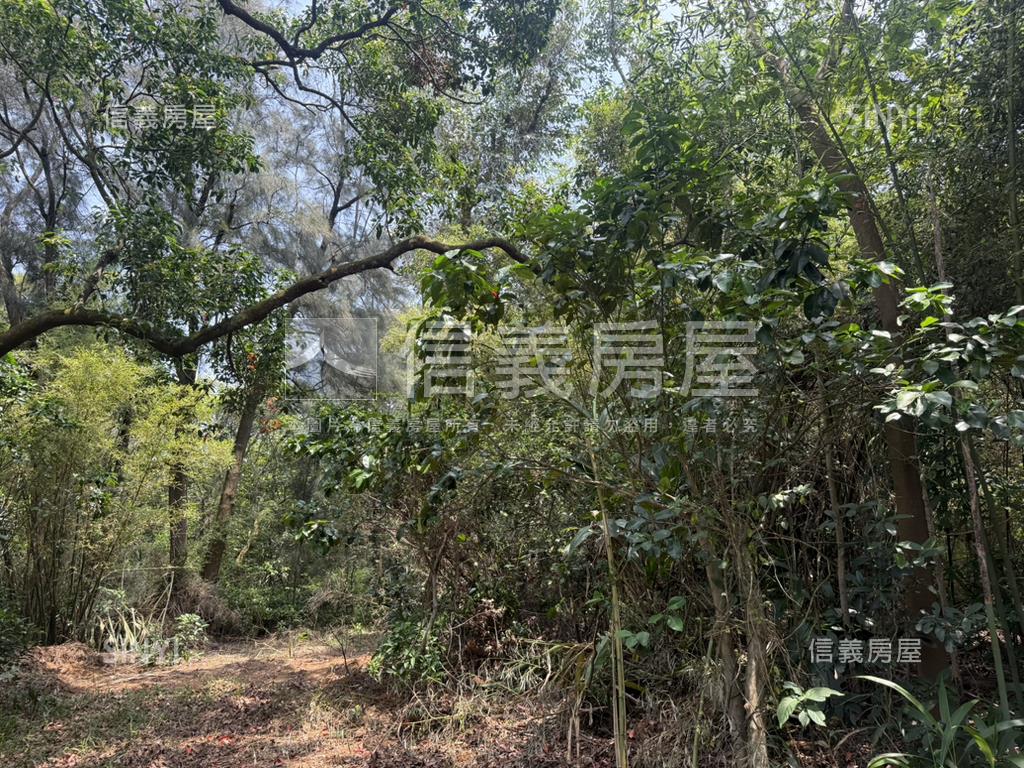 新竹新豐鄉方正便宜土地房屋室內格局與周邊環境