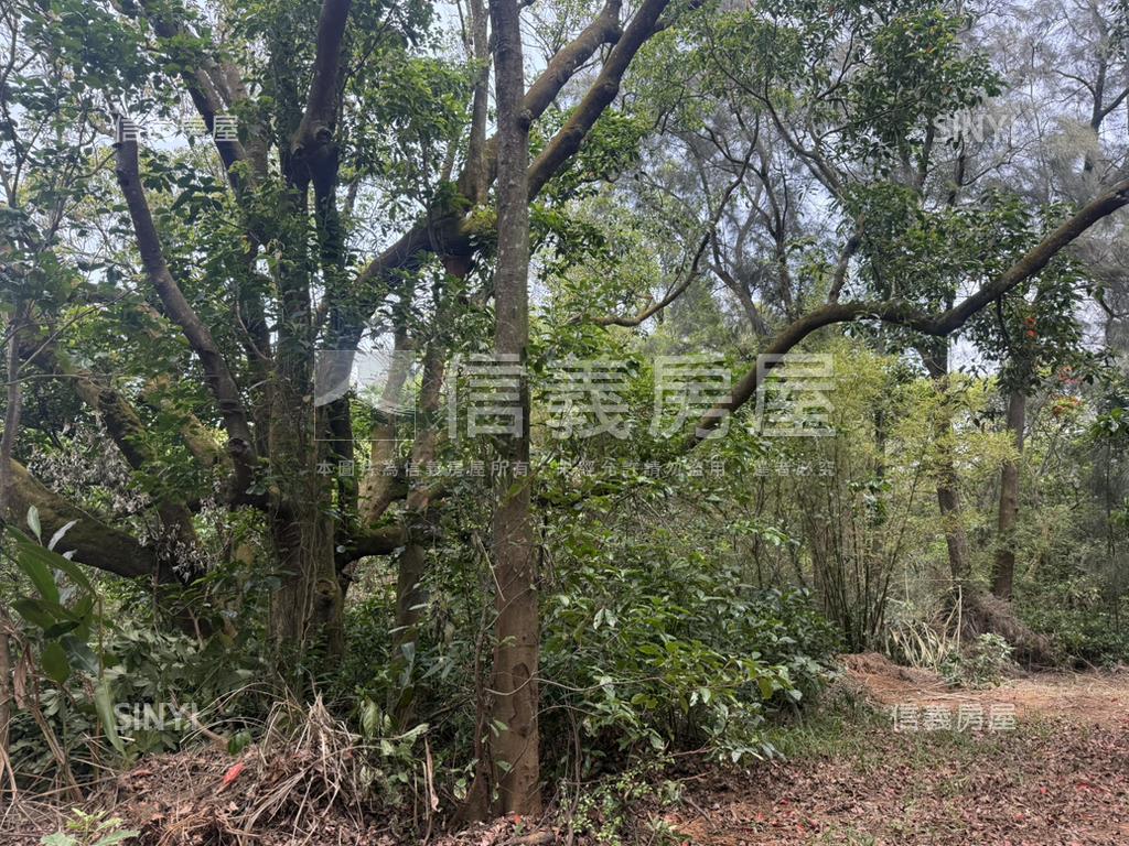新竹新豐鄉方正便宜土地房屋室內格局與周邊環境
