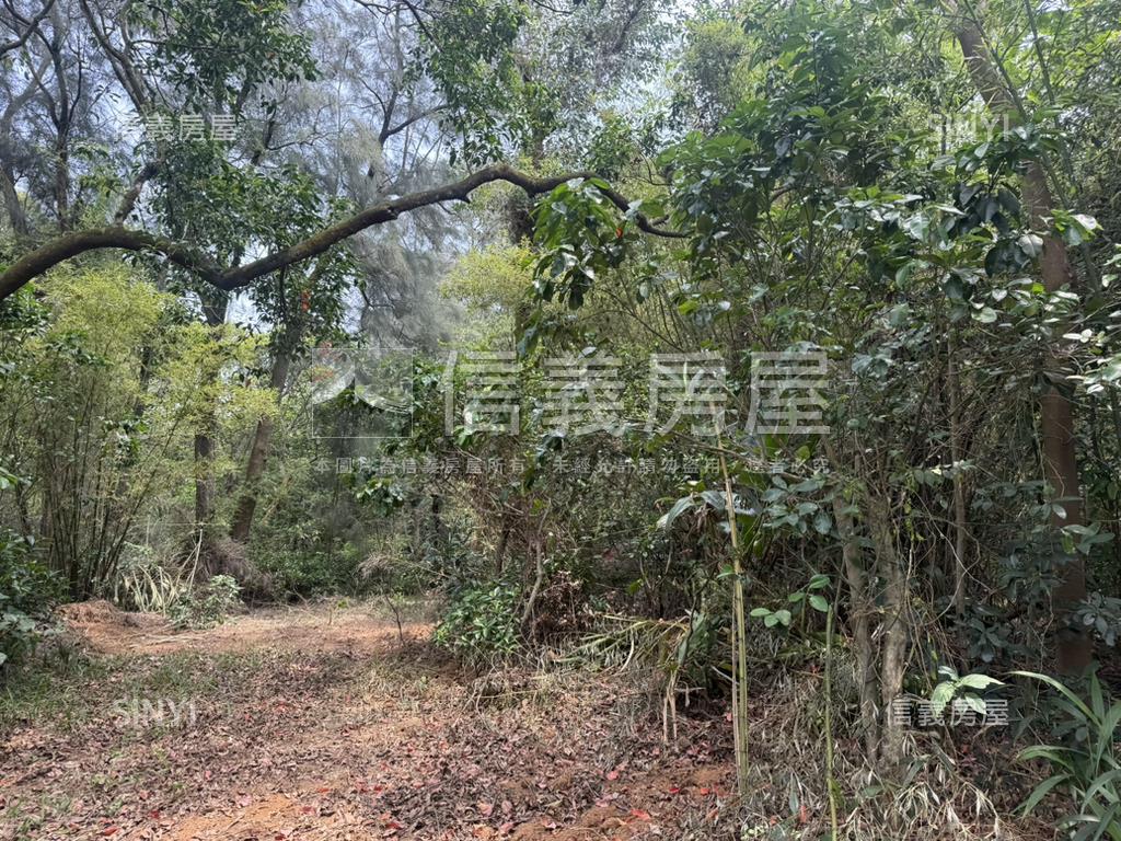 新竹新豐鄉方正便宜土地房屋室內格局與周邊環境