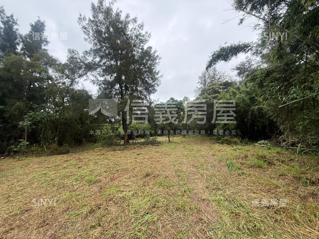 新竹新豐鄉方正便宜土地房屋室內格局與周邊環境