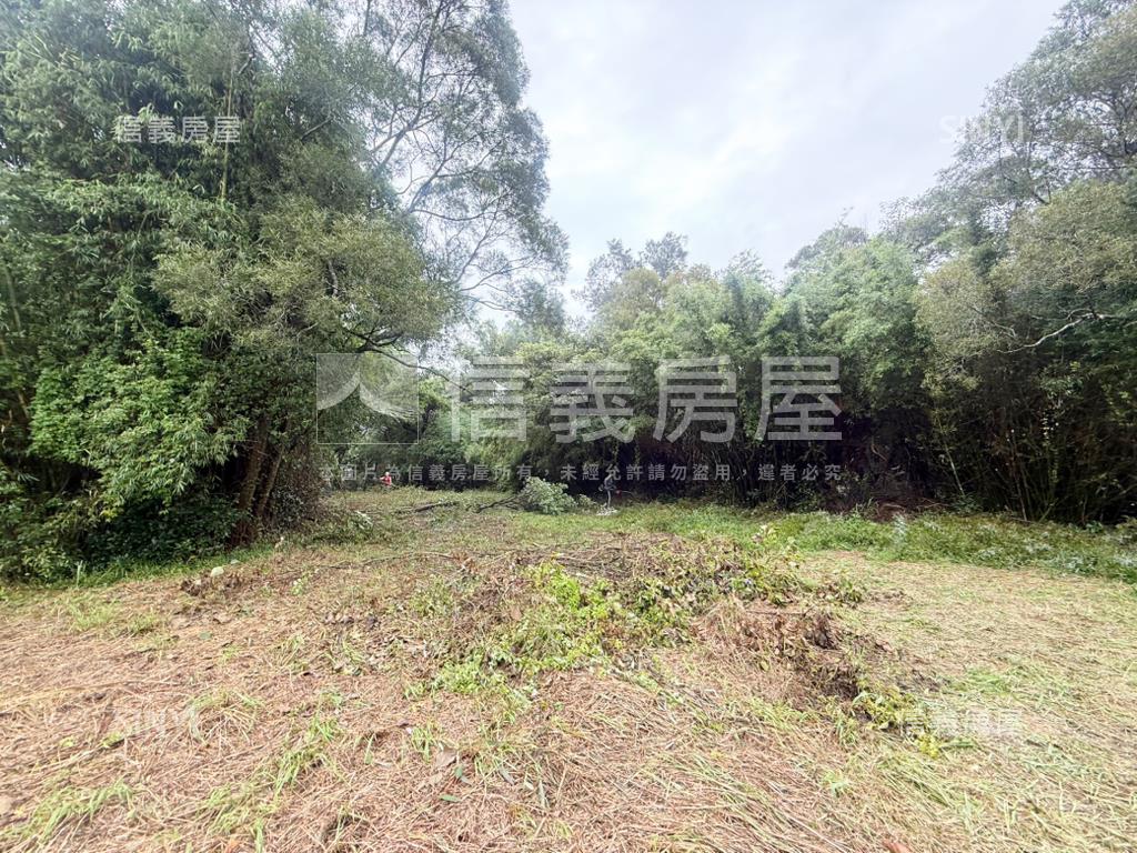 新竹新豐鄉方正便宜土地房屋室內格局與周邊環境