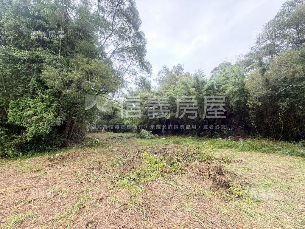 新竹新豐鄉方正便宜土地房屋室內格局與周邊環境