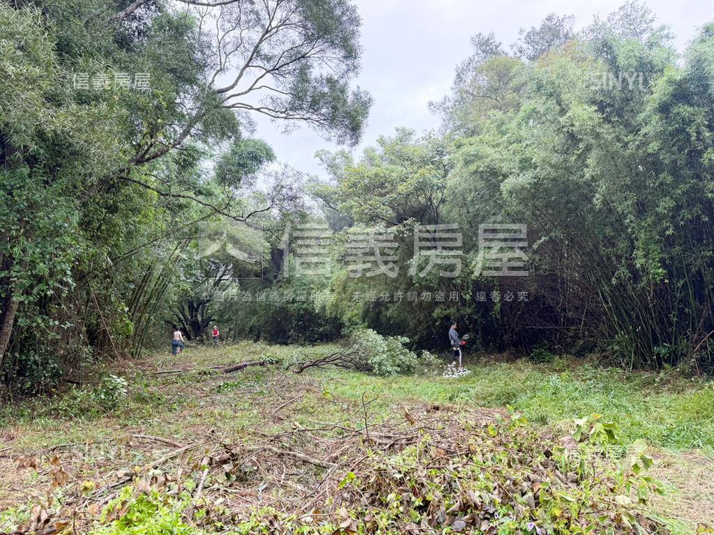 新竹新豐鄉方正便宜土地房屋室內格局與周邊環境