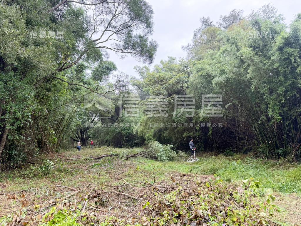 新竹新豐鄉方正便宜土地房屋室內格局與周邊環境