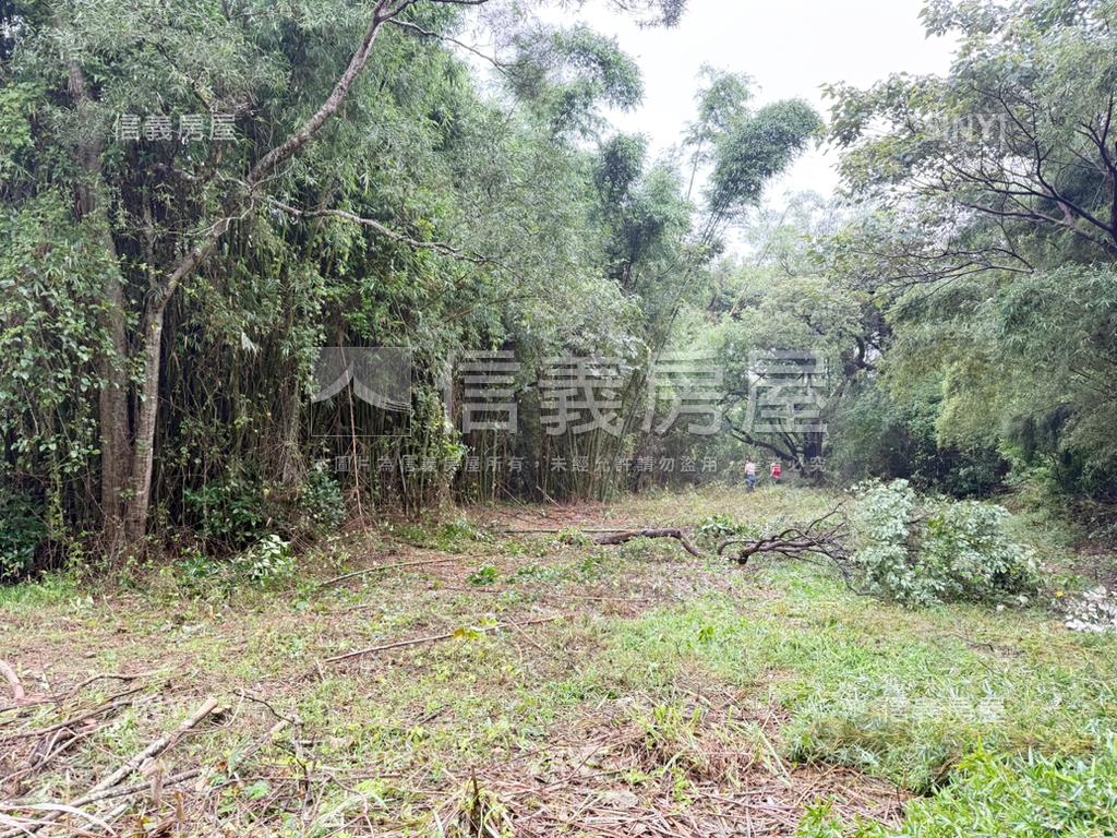 新竹新豐鄉方正便宜土地房屋室內格局與周邊環境