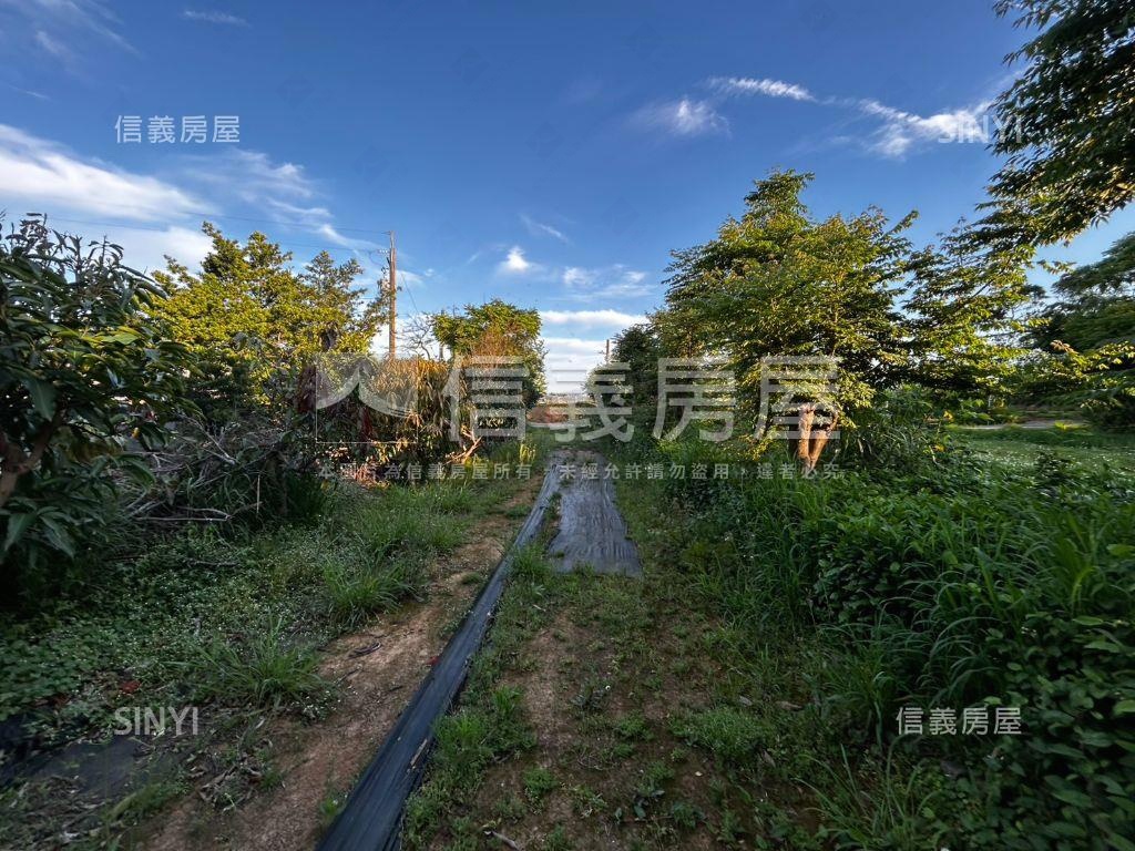 中壢月德路農地房屋室內格局與周邊環境