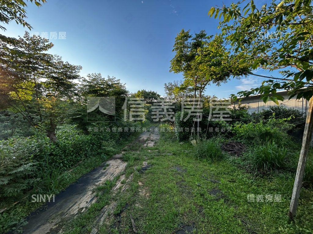 中壢月德路農地房屋室內格局與周邊環境