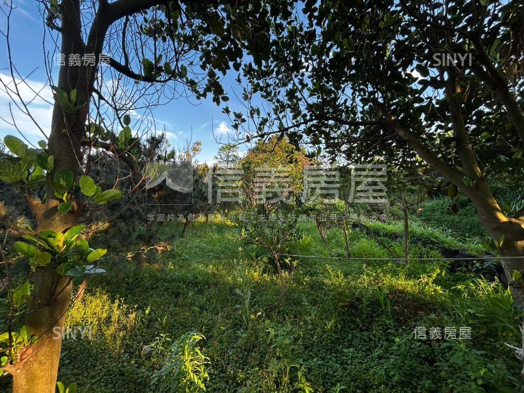 中壢月德路農地房屋室內格局與周邊環境