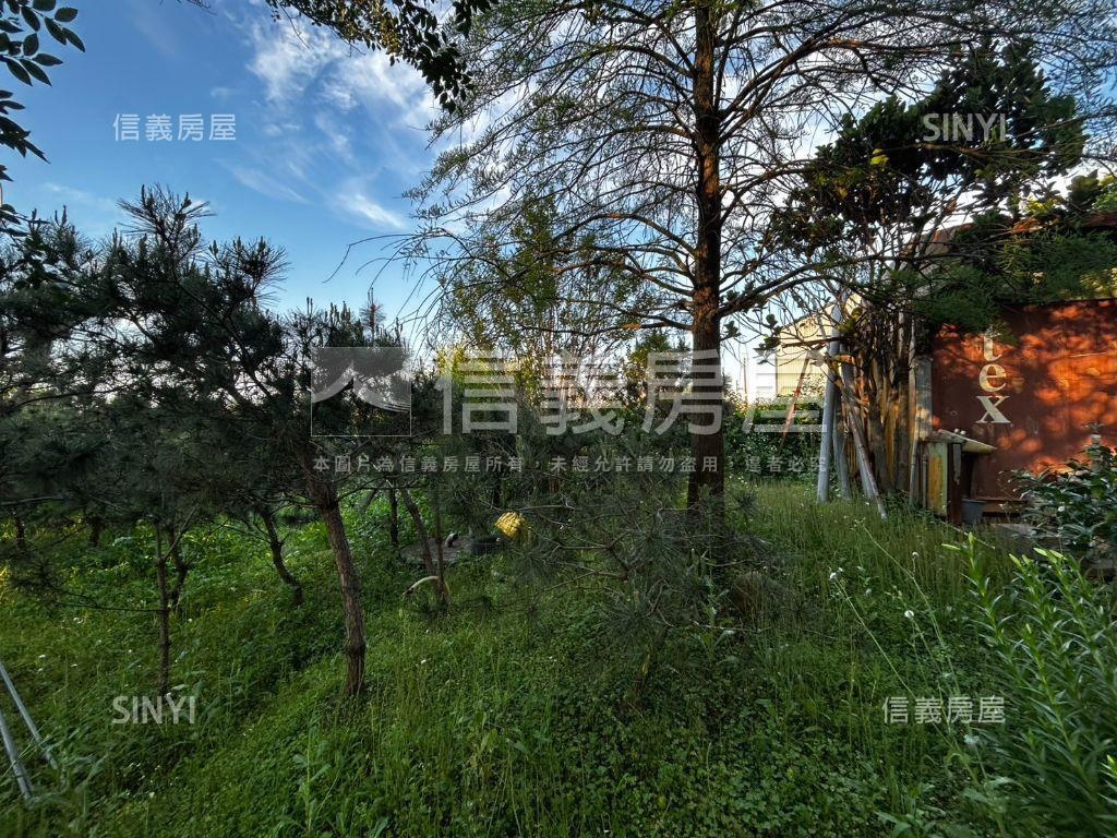 中壢月德路農地房屋室內格局與周邊環境