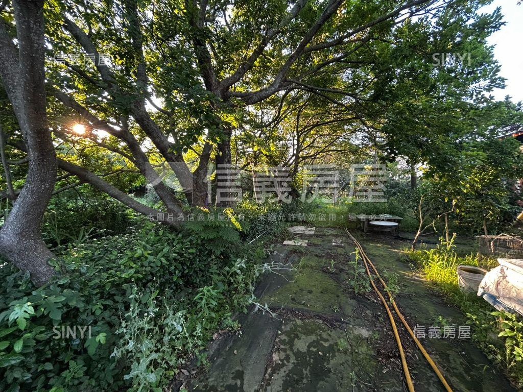 中壢月德路農地房屋室內格局與周邊環境