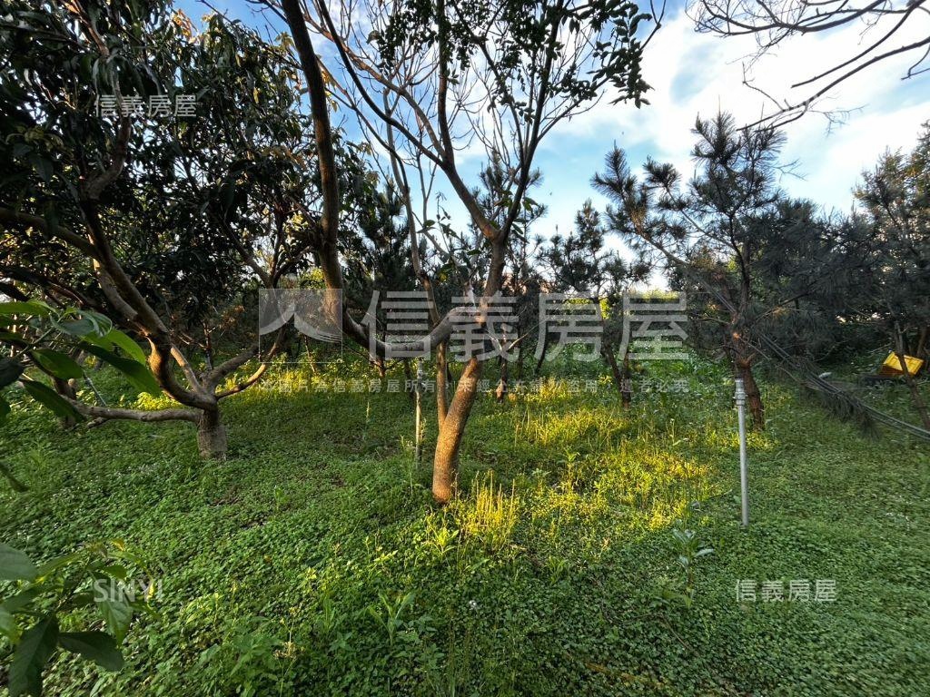 中壢月德路農地房屋室內格局與周邊環境